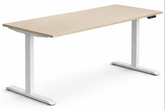 Electric Height Adjustable Standing Desk β ST Series (140/160/180 cm)